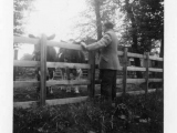 Year-of-1952-Stratford-‘farm’-on-1956
